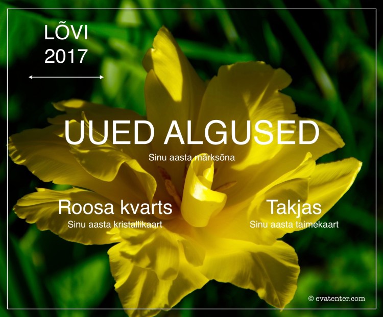 horoskoop 2017 lõvi