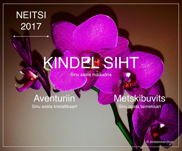 horoskoop 2017 neitsi