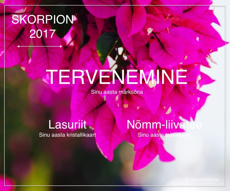 horoskoop skorpion 2017