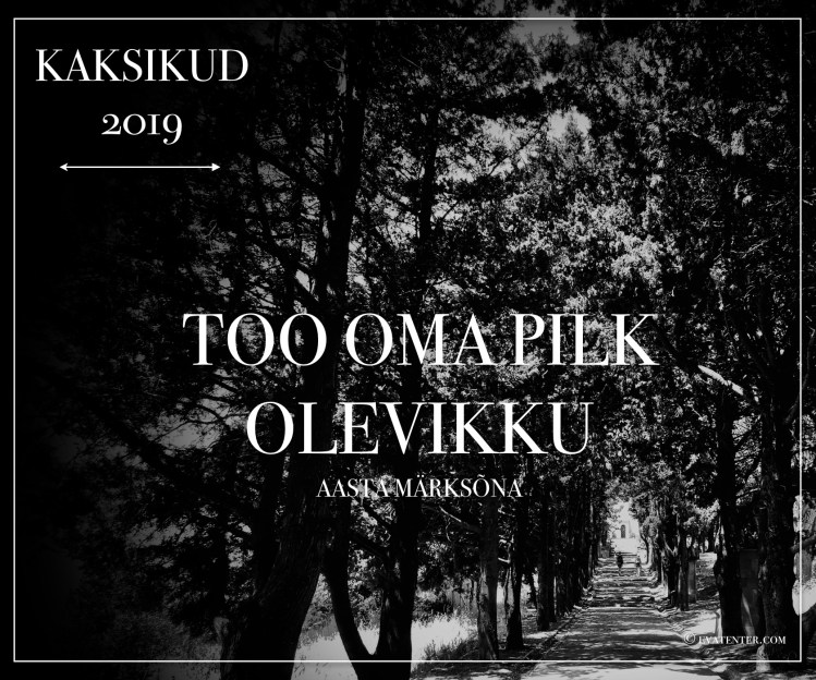 Horoskoop 2019 Kaksikud