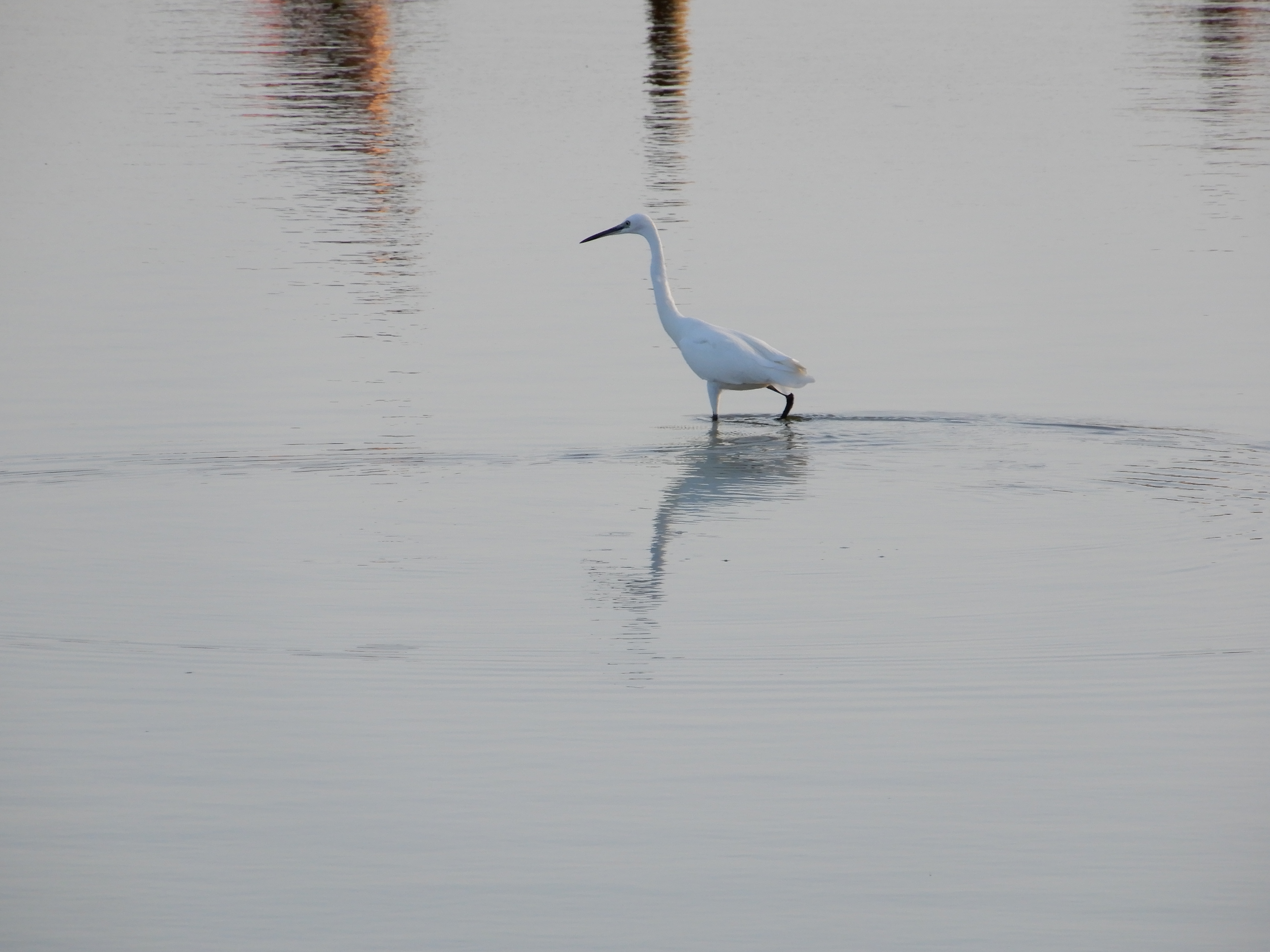 Sinu ees avaneb kohe üks uus rada. Astu sellel rajal julgelt edasi. See on Sinu jaoks turvaline tee.