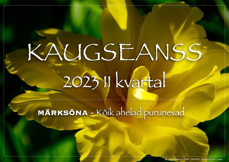 2023 II kvartal kaugseanss