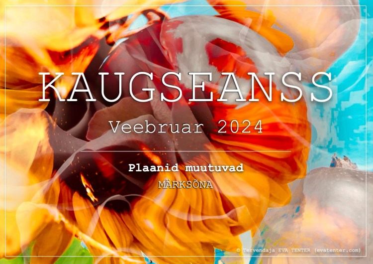 veebruar 2024