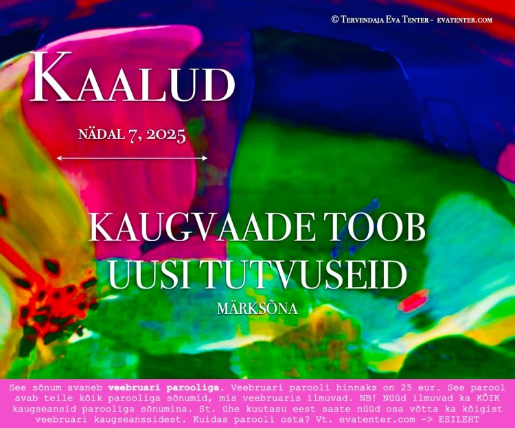 7 2025 kaalud