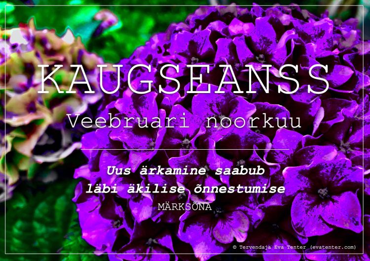 veebruari noorkuu 2022