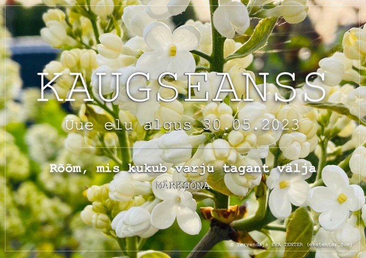 uue elu algus 30.05.2023 kaugseanss