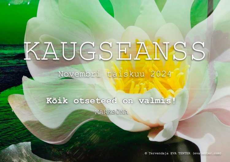 novembri täiskuu 15.11.2024