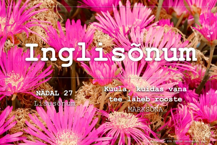 nädal 27 2021 lisasõnum