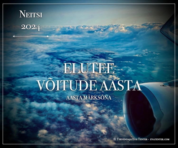 horoskoop 2024 neitsi