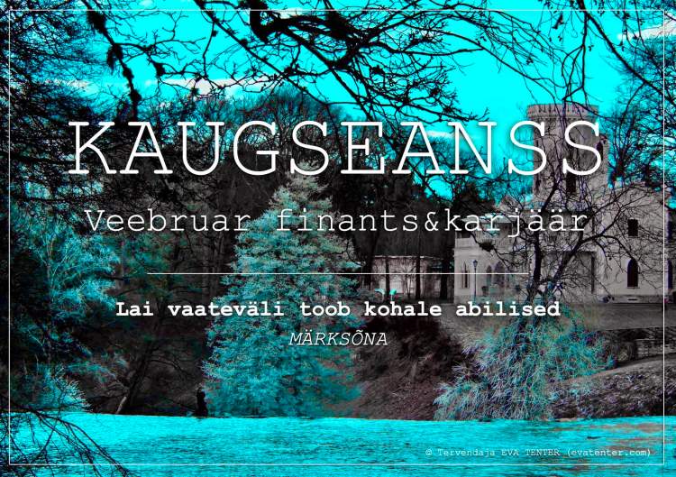 veebruar finants karjäär 2023 kaugseanss