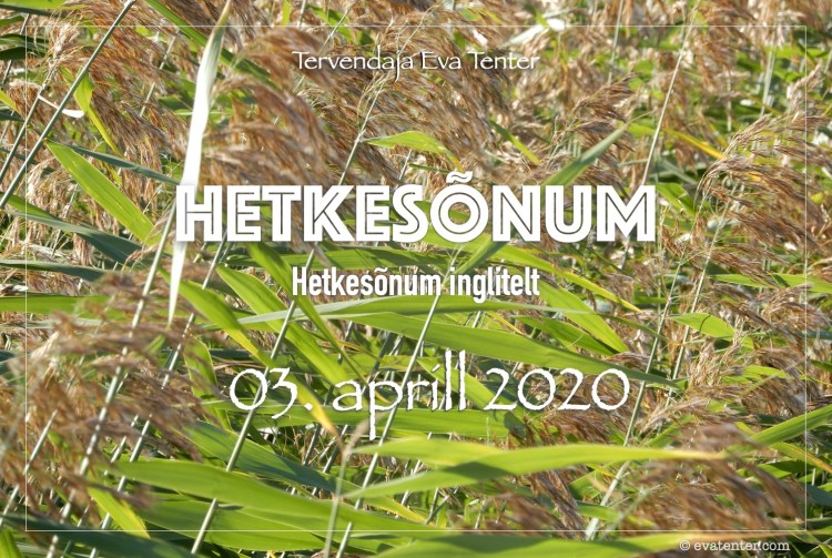 hetkesõnum 03.04.2020