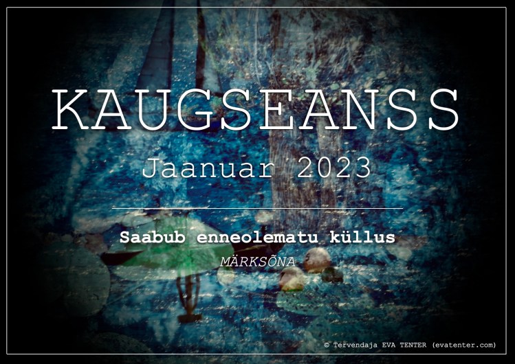 jaanuar 2023 kaugseanss