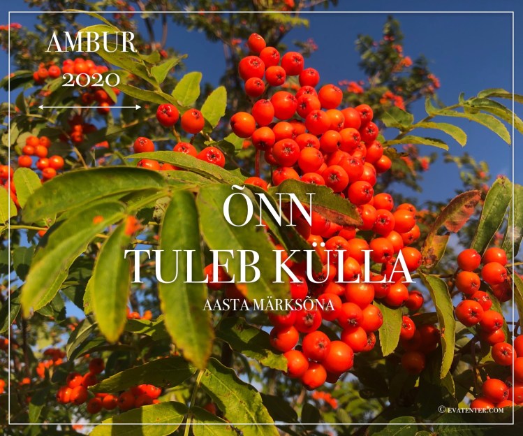 horoskoop 2020 ambur