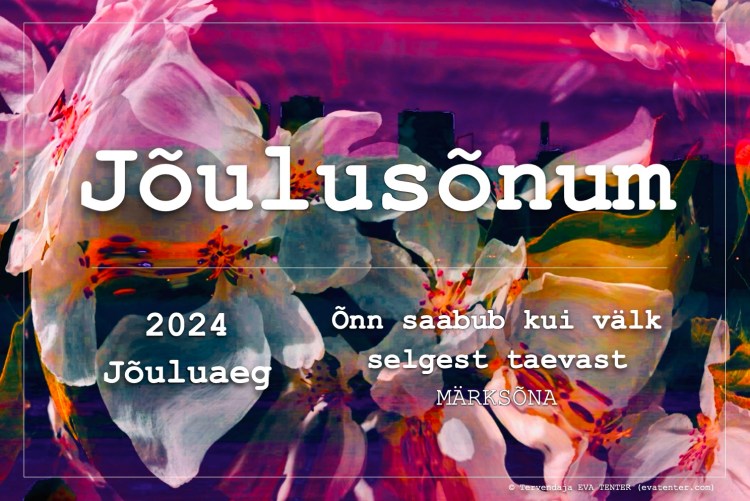 jõulusõnum 2024