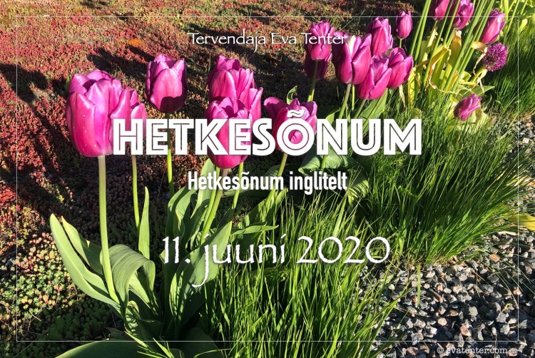 hetkesõnum 11. juuni 2020