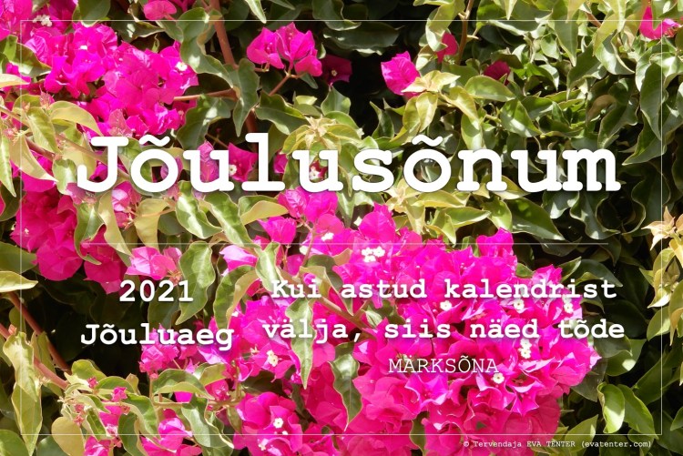 jõulusõnum 2021 osa 9