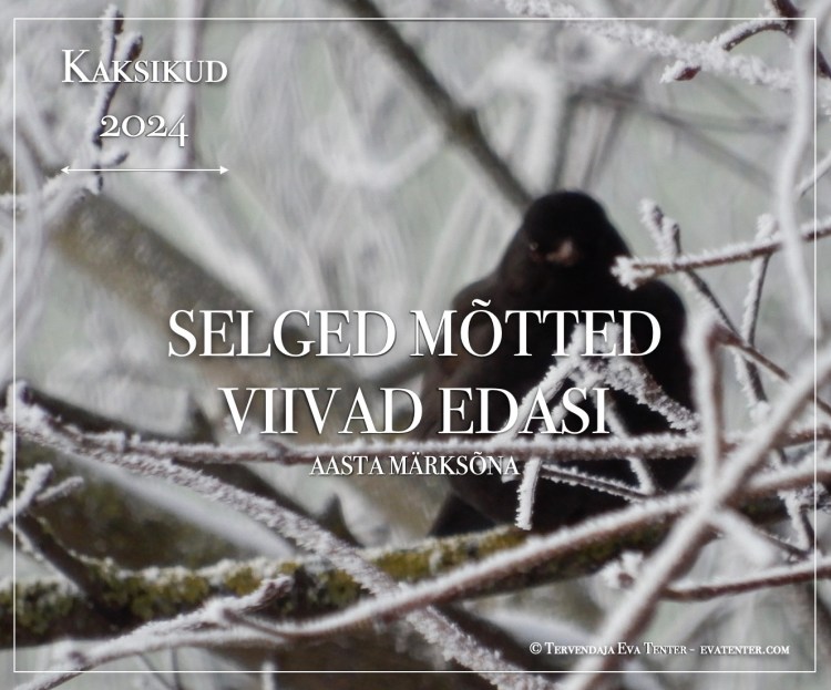 horoskoop 2024 kaksikud