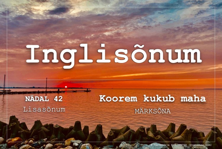 lisasõnum nädal 42 2021