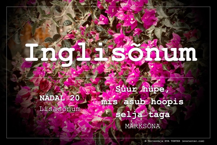 lisasõnum nädal 20 2023