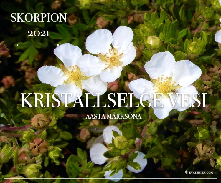 skorpion 2021 horoskoop