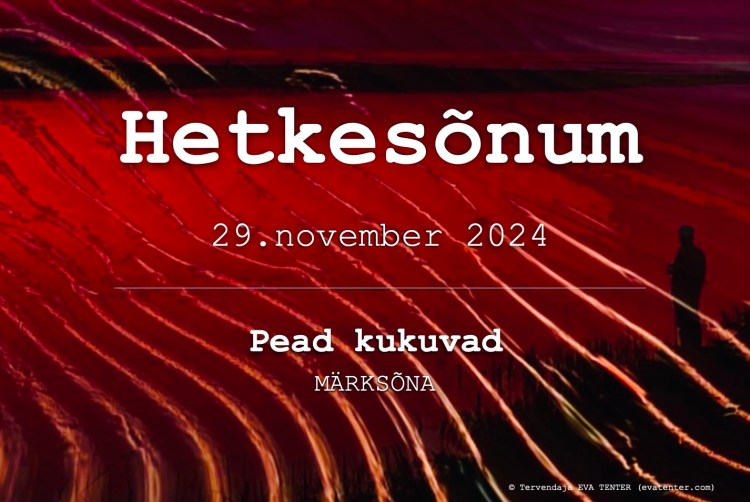 29.11.2024
