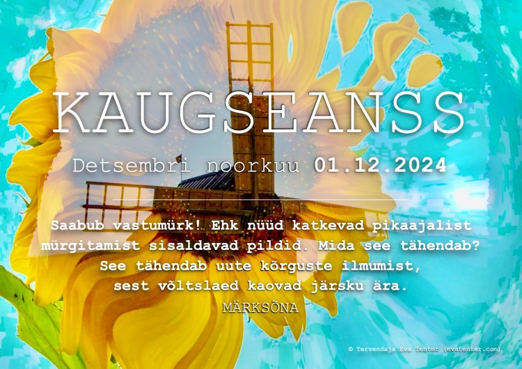 dets noorkuu 01.12.2024