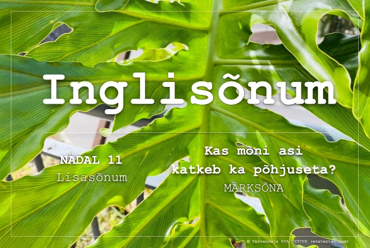 lisasõnum nädal 11 2023