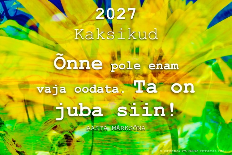 horoskoop 2027 kaksikud