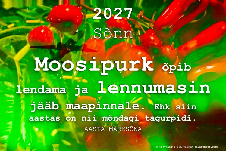 horoskoop 2027 sõnn